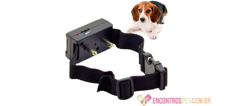 Coleira Antilatido para Cães Funciona?