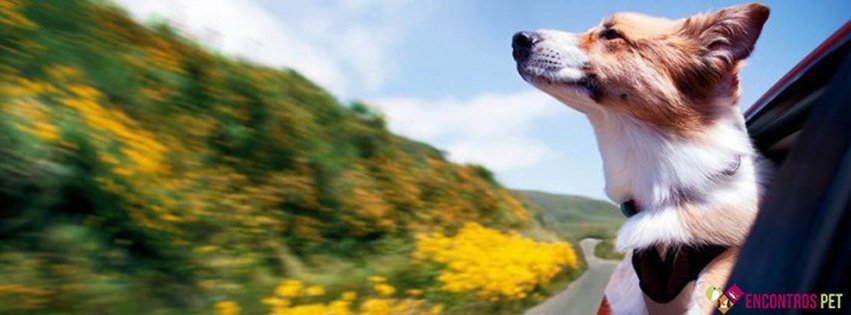 Capas para Facebook de Cachorros Fofos
