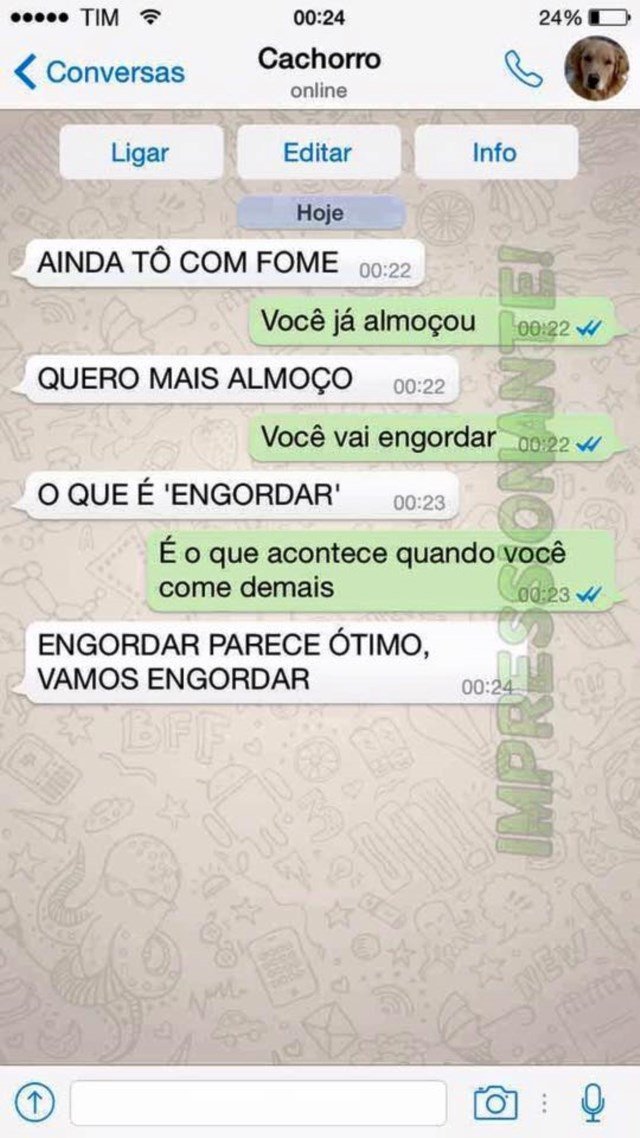 conversa-whatsapp-cachorro