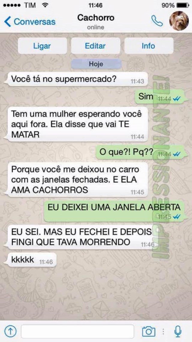 conversa-whatsapp-cachorro