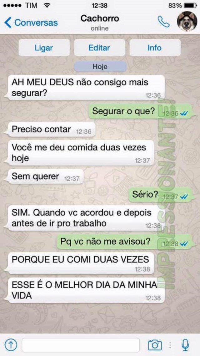conversa-whatsapp-cachorro
