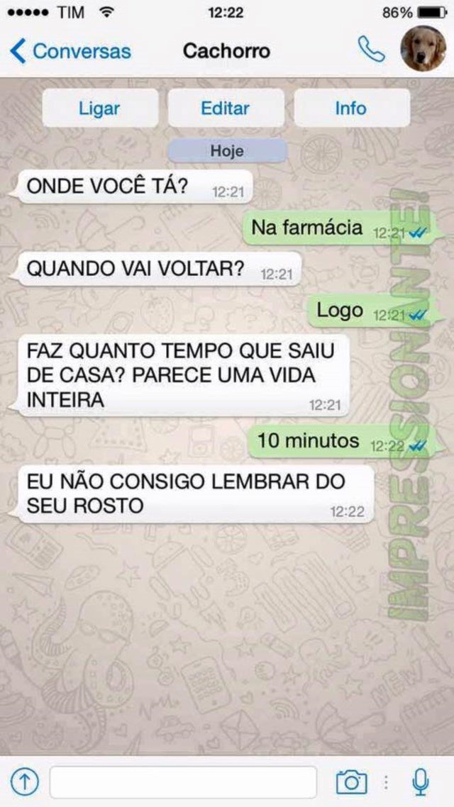 conversa-whatsapp-cachorro