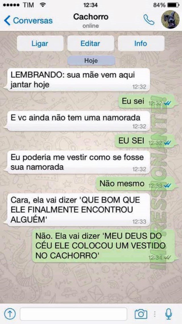 conversa-whatsapp-cachorro