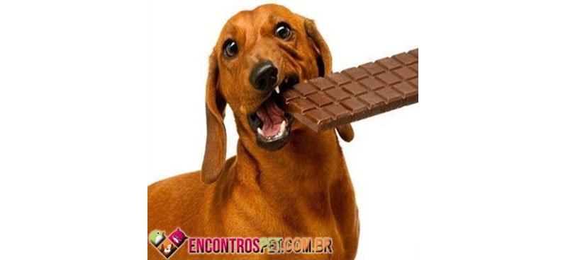 intoxicacao-03