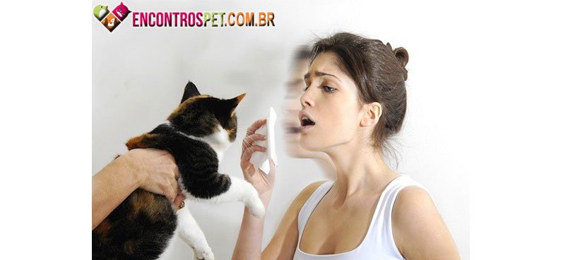 Alergia-gatos-02