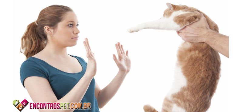 Alergia-gatos