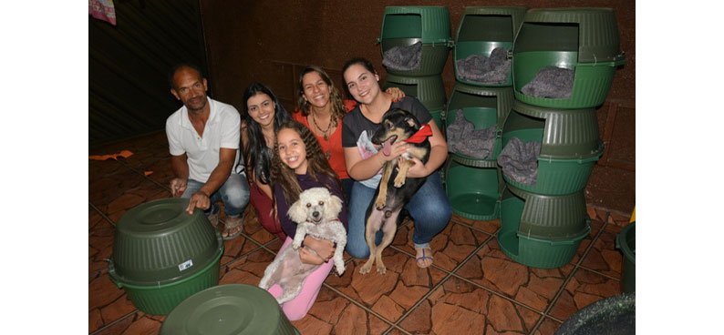 Casinhas-cachorro
