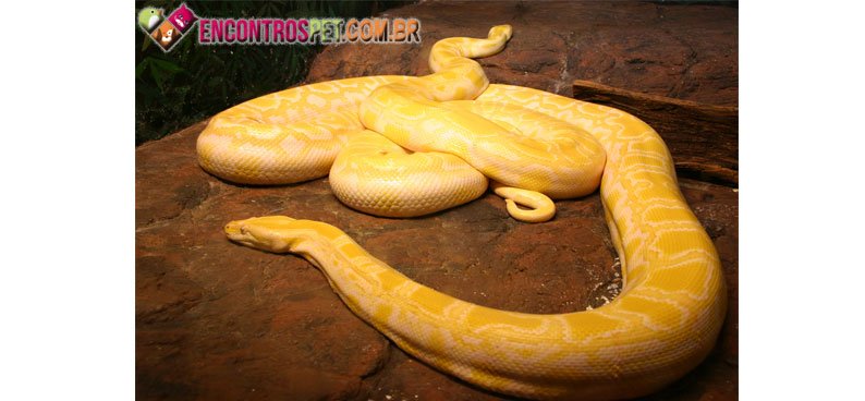 Python-02