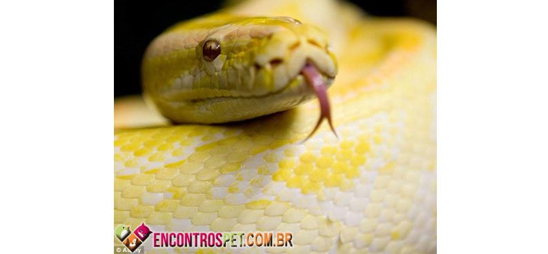 Python-04