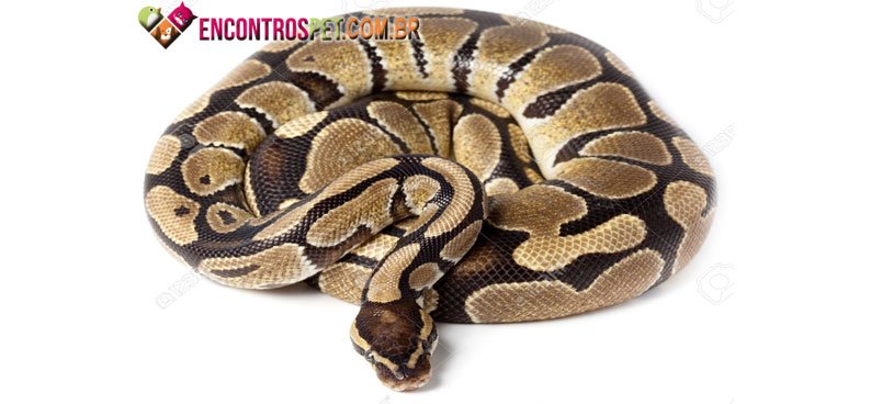 Python-05