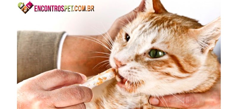 Gato-verme-01