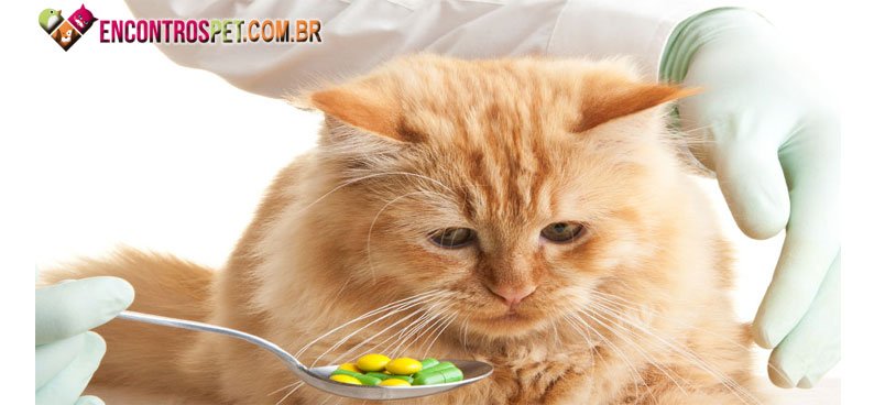 Vermifugacao-Gatos-01
