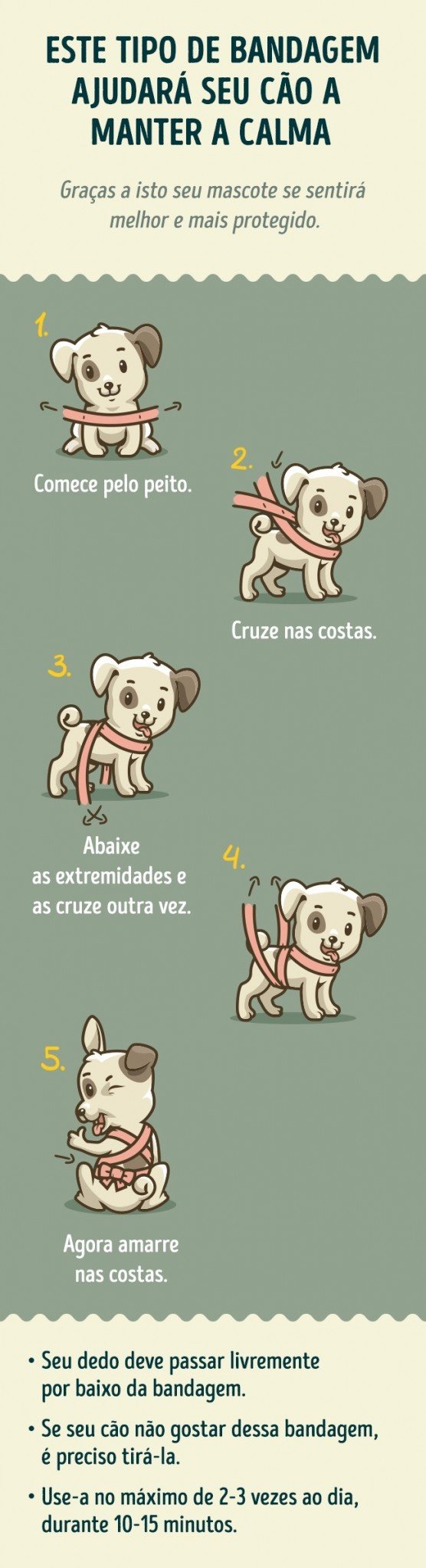 cachorro-calma