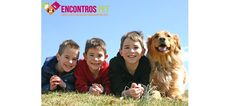 cachorro-criancas-01
