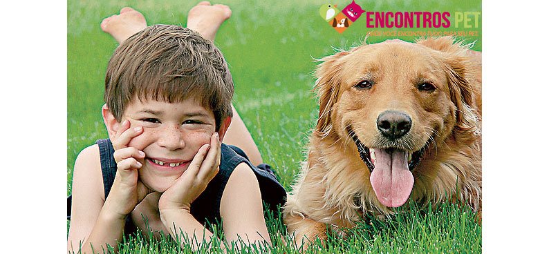cachorro-criancas