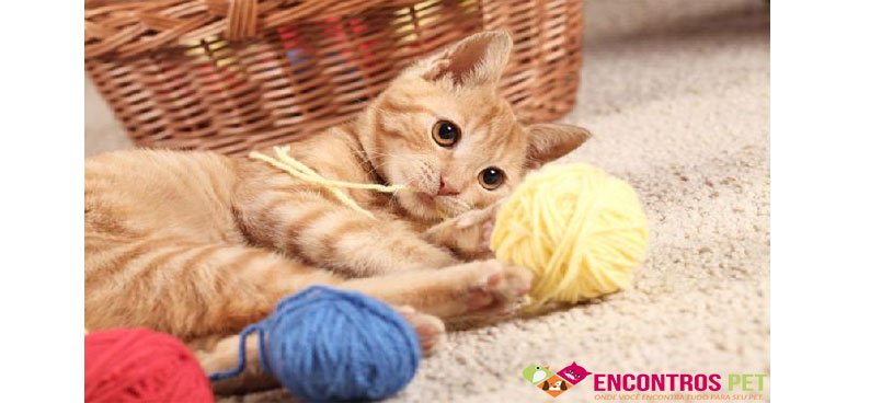 repelente-gatos-02