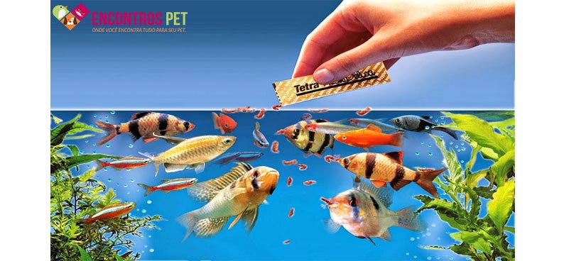 peixe-dorme-come-01