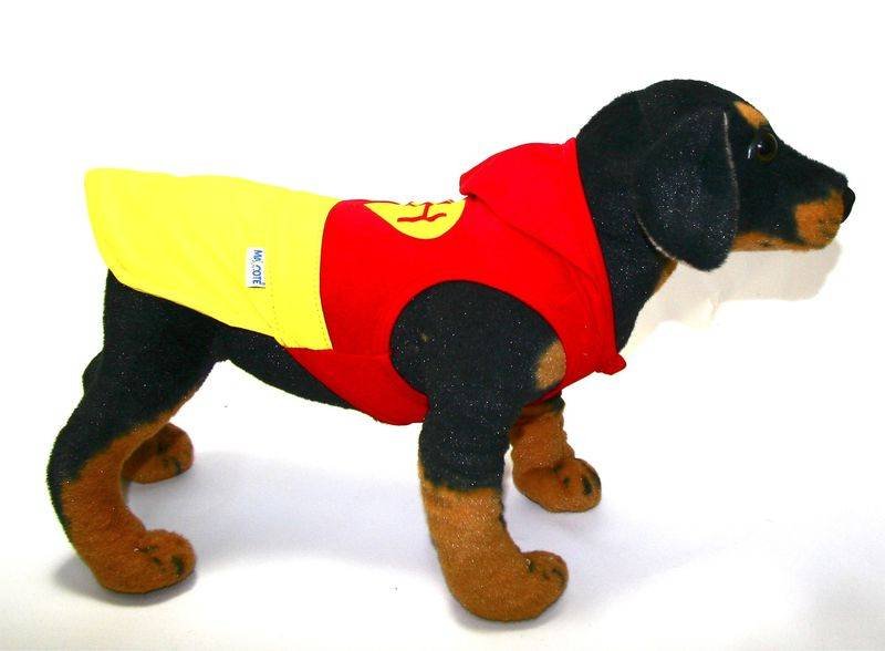fantasia-para-cachorro-03
