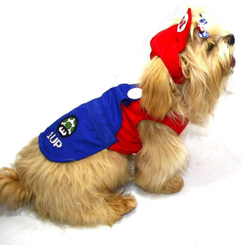 fantasia-para-cachorro
